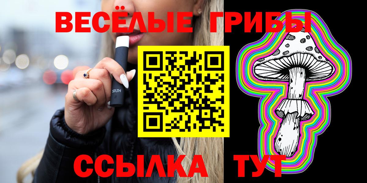 Псилоцибиновые грибы Psilocybine cubensis Алексин