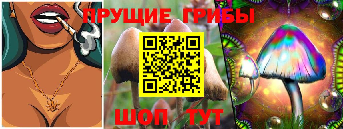 Галлюциногенные грибы GOLDEN TEACHER  Вход с VPN  Алексин 